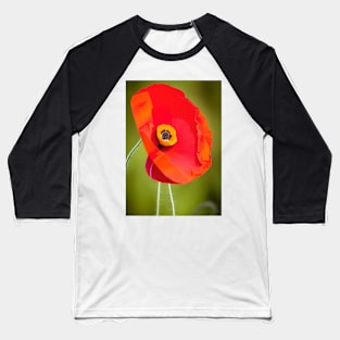 VIBRANT SINGLE POPPY WITH GREEN BACKGROUND Baseball T-Shirt